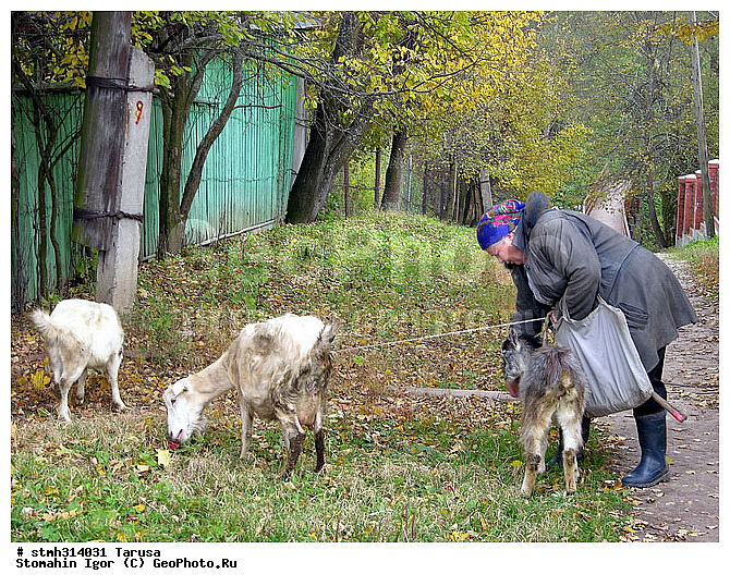 , ���������, �������,  ������, �������, ������