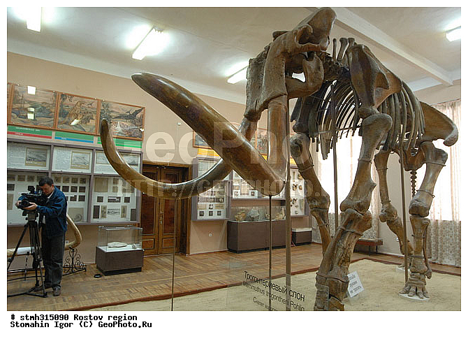 ������, ���������������, �������, ��������, �����, �����������