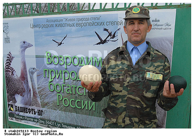 ��������, ������, ��������, ��������, ����������, �����, �������, �����, �������, �����������, ����������