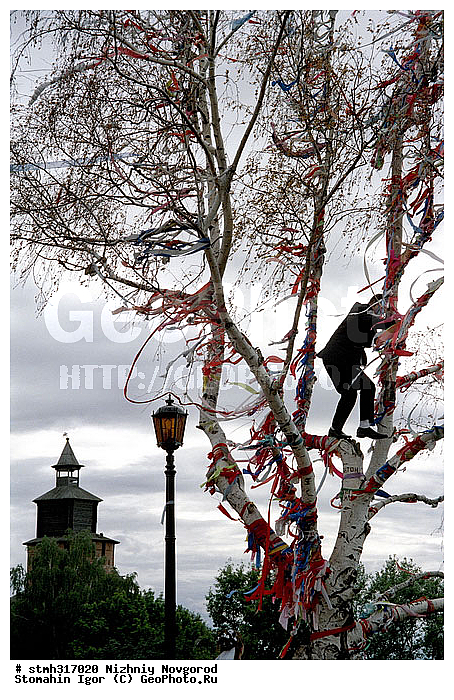 ������, ��������, �����������, �����������, �������, ��������, ����������, ������