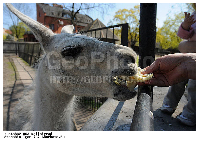 ���������, ����, ���������������, ��������, �����������, ���������, ����, ���������������, ��������