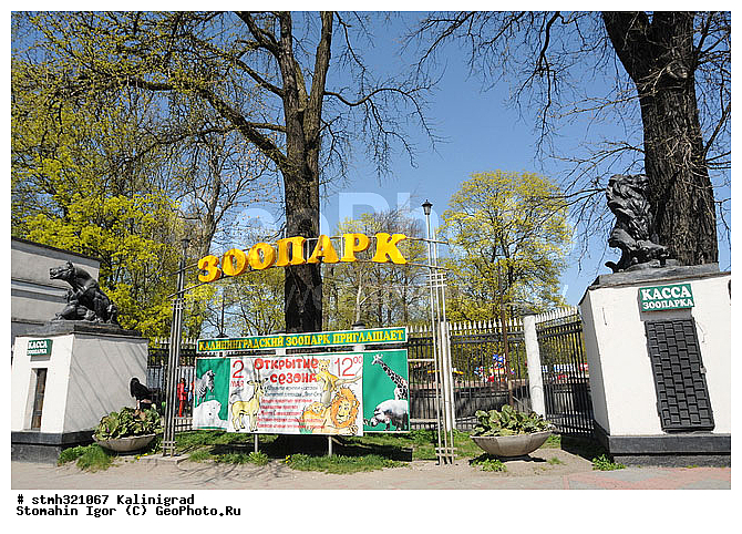 ����, ���������������, �������, �����������, ����, ���������������, �������