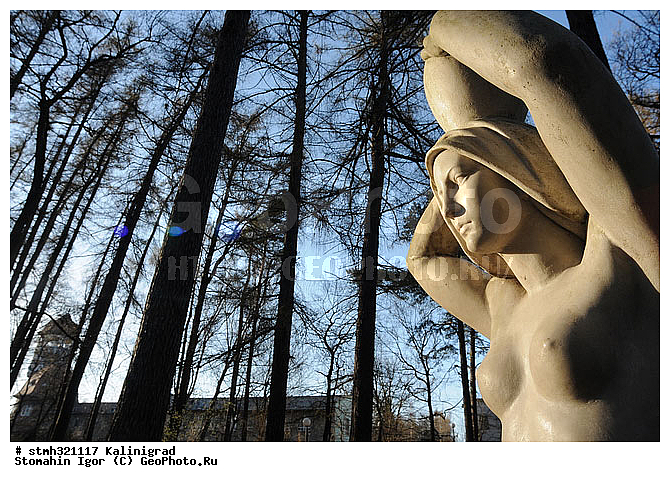 ����������, �������, ��������, ���������������, �������, �����������, (������), ����������, �������, ��������, ���������, �����, �����:, �, �������,  1940, �, 