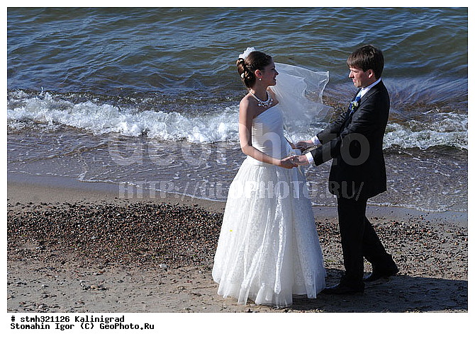 ����������, ������, ����, ���������������, �������, �����������, ����������, ������, ����