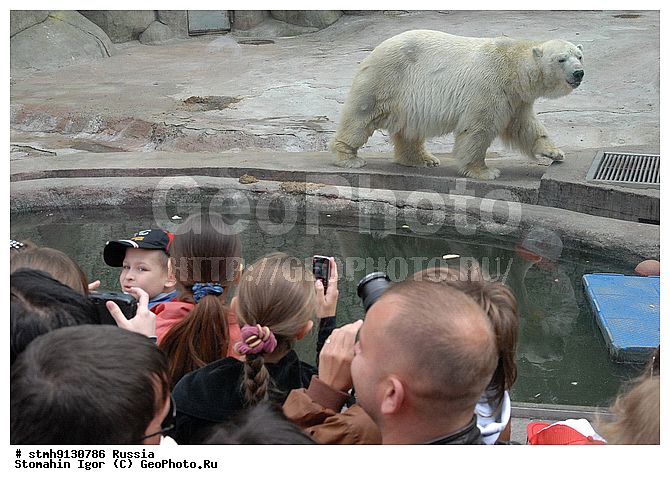 �������, ������