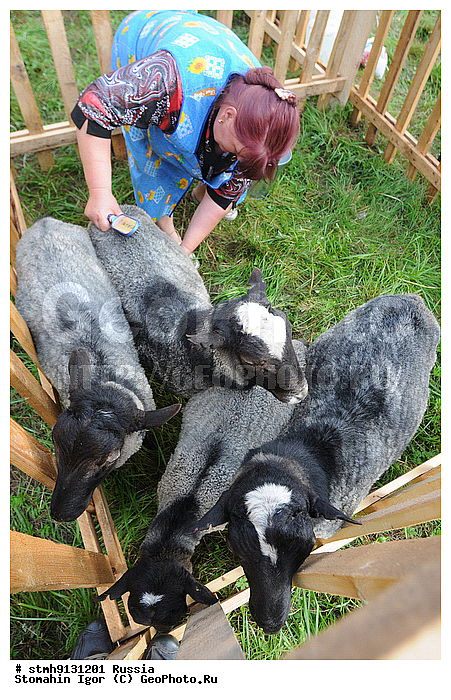 "�. ������, �����������, �������, ���������, ""�����������, ����, �������, ����, ������, 2009"",������:, ����������, ����, ��������"