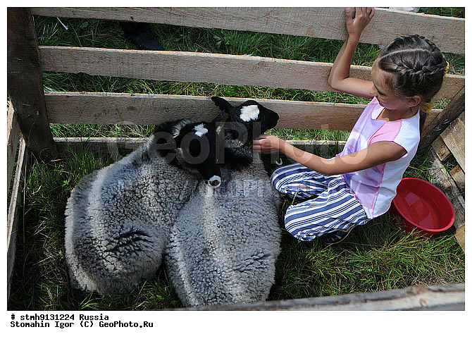 "�. ������, �����������, �������, ���������, ""�����������, ����, �������, ����, ������, 2009"",������:, �������, ������������, ������"