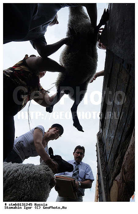 "�. ������, �����������, �������, ���������, ""�����������, ����, �������, ����, ������, 2009"",������:, ��������, ����"