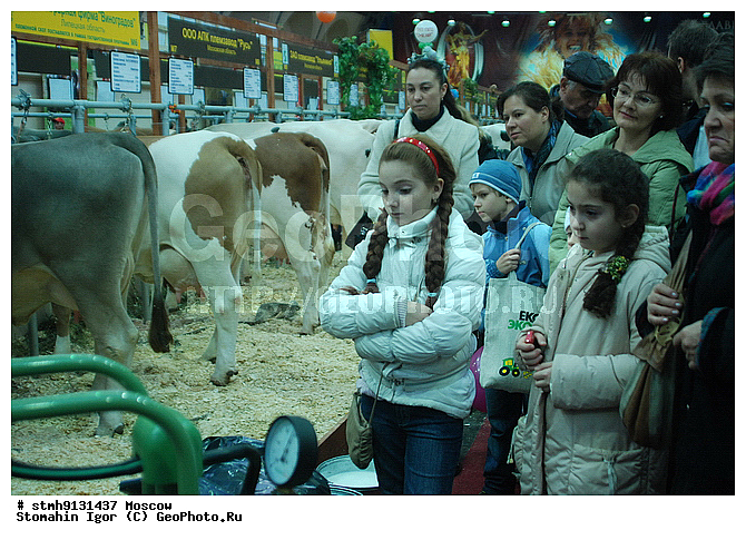 "10-�, ���������, ����������������, ��������, ""�������, �����"",���,������:, ����������, ��������"