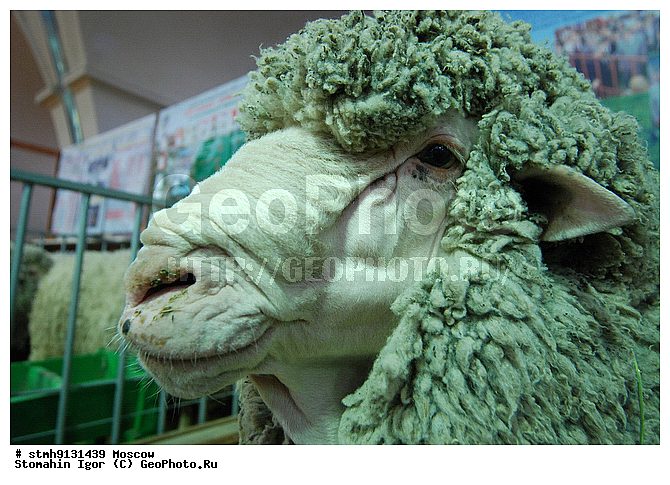 "10-�, ���������, ����������������, ��������, ""�������, �����"",���,������:, �����-�������"