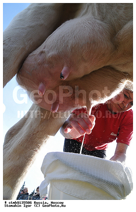 "���, ������, ��������, ""�����, ������, �����"",������:, �����, ������"