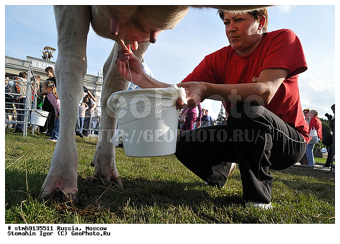 "���, ������, ��������, ""�����, ������, �����"",������:, �����, ������"