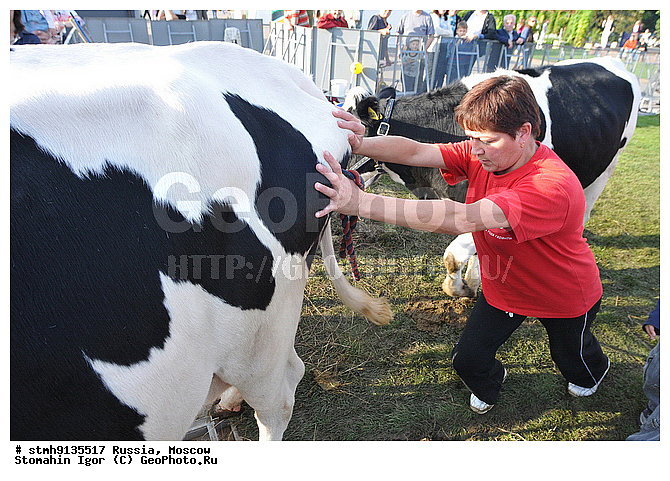 "���, ������, ��������, ""�����, ������, �����"",������:, �������, �������, ������"