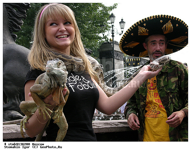 ����������������, �������,��������, �������