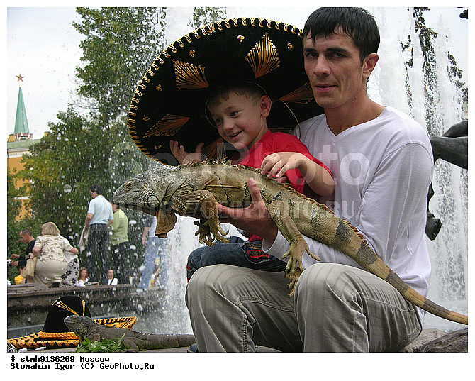 ����������������, �������,��������, �������