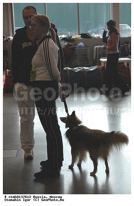 ��������, ZooRussia, 2008, ������, �����, ��������, ����, ���������, ��������, ������������, ��������., , ������, �������, �������, ������,�����