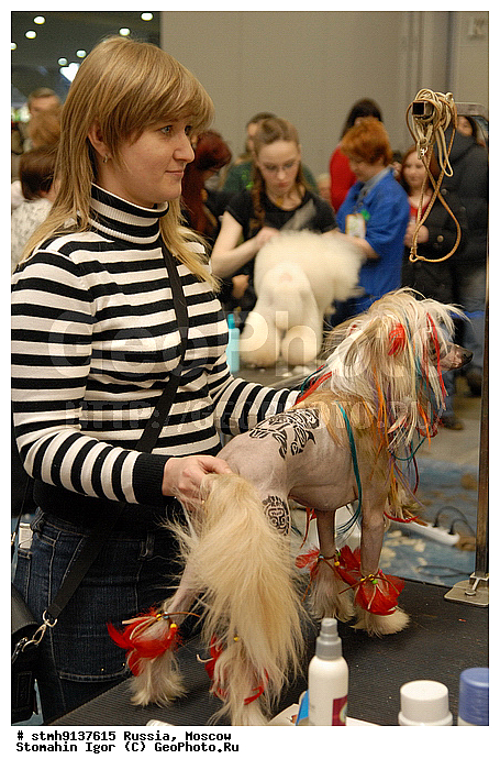 "��������, ZooRussia, 2008, ������, �����, ��������, ����, ���������, ��������, ������������, ��������., , ������, ������, ""���������, ��������"""