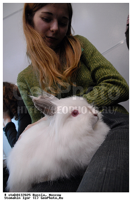 "��������, ZooRussia, 2008, ������, �����, ��������, ����, ���������, ��������, ������������, ��������., , ������, ������, ""����������, �����"""