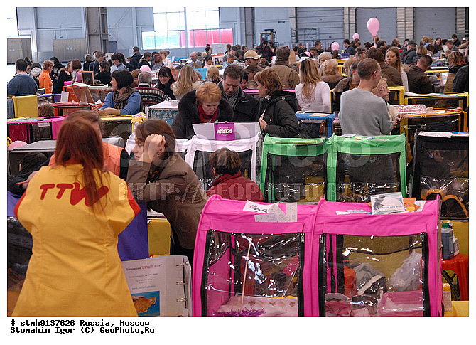 ��������, ZooRussia, 2008, ������, �����, ��������, ����, ���������, ��������, ������������, ��������., , ��������-�������, �����