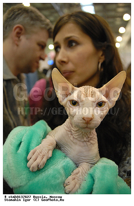 "��������, ZooRussia, 2008, ������, �����, ��������, ����, ���������, ��������, ������������, ��������., , �����, ������, ""�����, ���������, ������"",�����, �������"