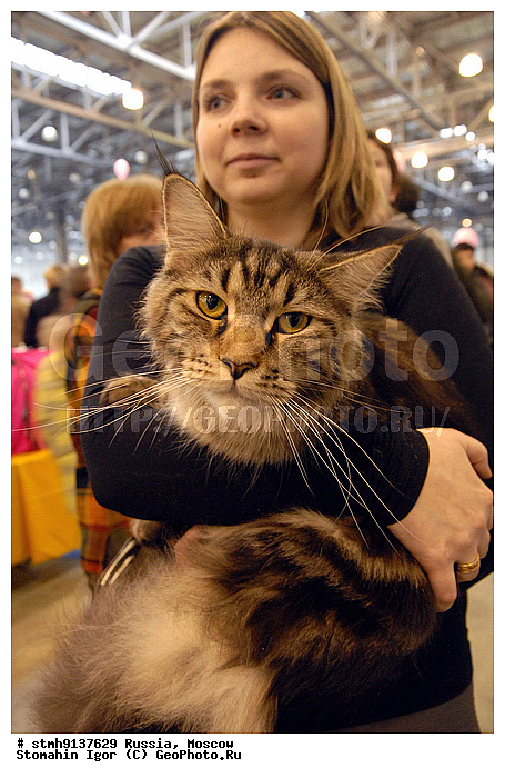��������, ZooRussia, 2008, ������, �����, ��������, ����, ���������, ��������, ������������, ��������., , ���, ���������, ������,�����, ���������