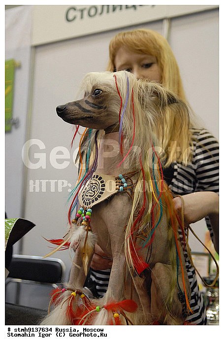 "��������, ZooRussia, 2008, ������, �����, ��������, ����, ���������, ��������, ������������, ��������., , ������, ������, ""���������, ��������"""