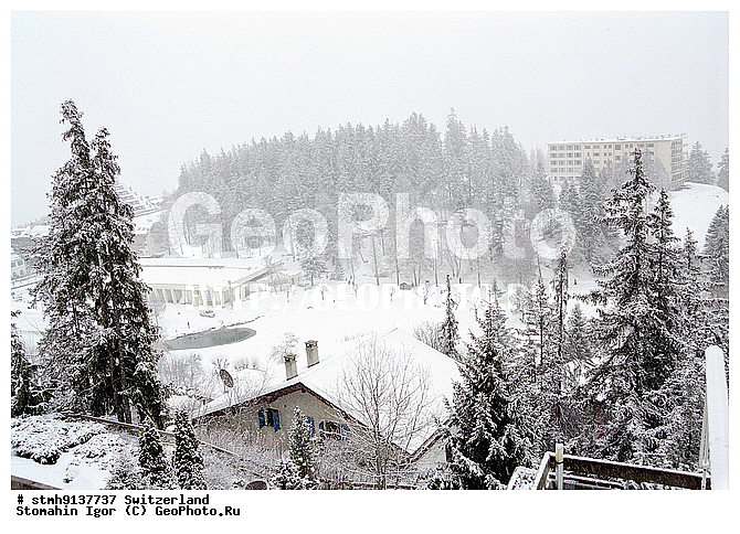 �����������, ������, ����, �������, , ������, ���������