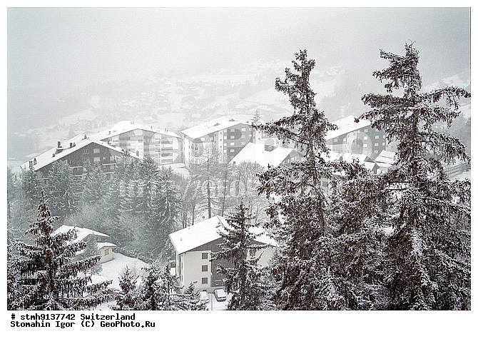 �����������, ������, ����, �������, , ������, ���������