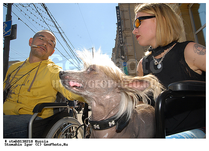 "�����, �������, ""�������, �����"", ���������, ����, ����������, ��������,������:, �����, �����, �������, ���, ���������, ��������, �����"