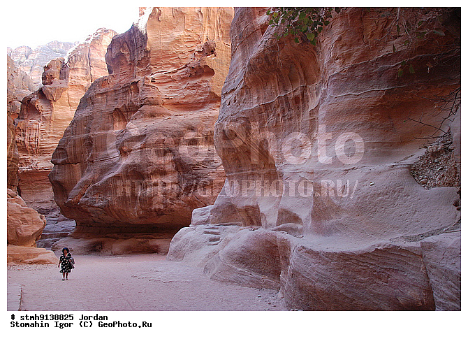 ��������,������:, ���, ������, ������