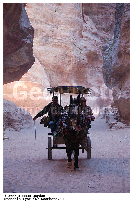 ��������,������:, ���, ������, �����, �������, �����