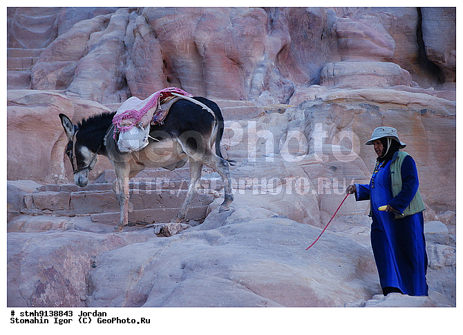 ��������, �����,������:, �������, �����