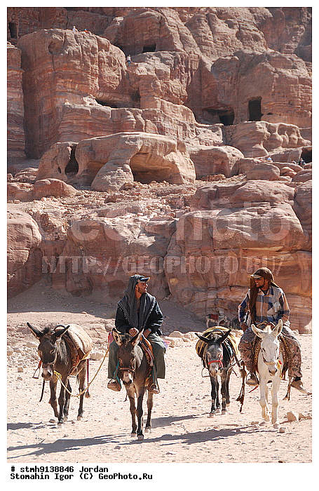 ��������, �����,������:, �������,���������