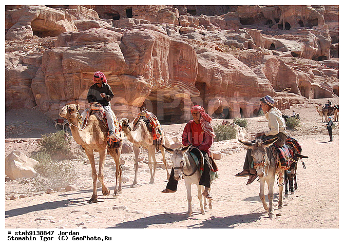 ��������, �����,������:, �������,���������