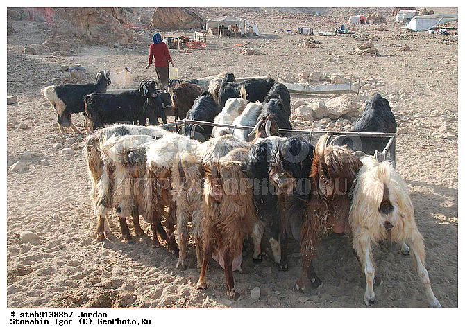 ��������,������:, ����������, ����, �������, ����, ���