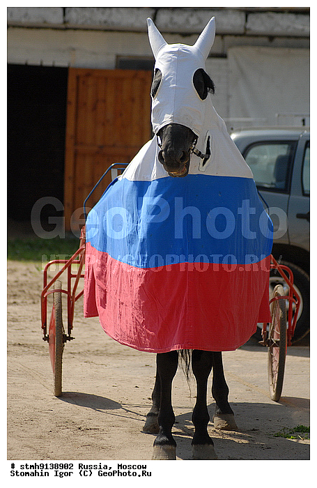 ������, ������, �����������, �����, �����������, ���������