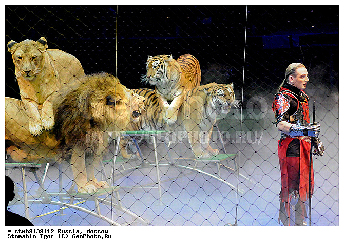 "�������, �����, ����������, �����, ���, �������, ��������, ""�������""."