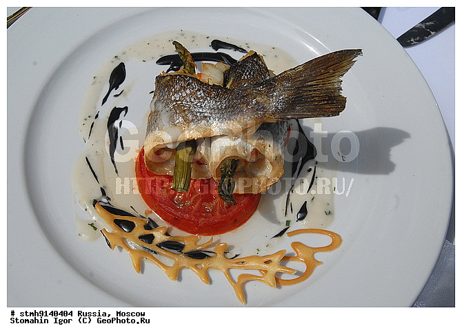 "�����, �����������, ���������, ���������, ����, ��������, ""����������, �������"", ���������, ""�����"", 2009, ����,������:, ������, �����"