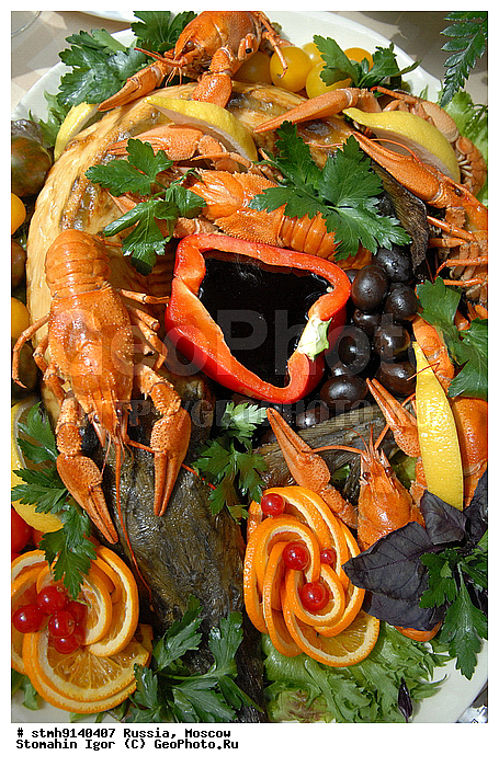 "�����, �����������, ���������, ���������, ����, ��������, ""����������, �������"", ���������, ""�����"", 2009, ����,������:, ��������, ������"