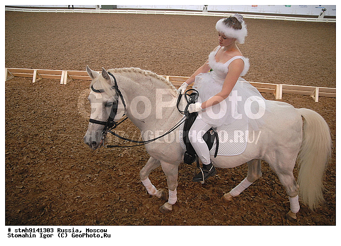 """��������, ��������, �������, 2008"", ������, ����, -, , ���������, ��������, ""���������������, ���"""