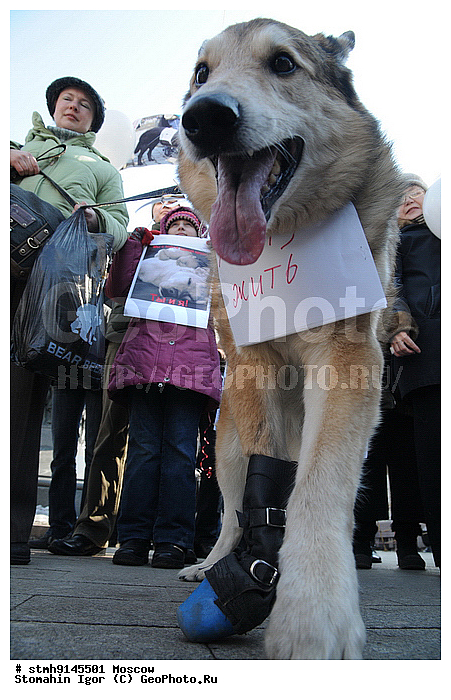 ������������, �������, ������, ������, ���������, ��������,������:, ���������, �������