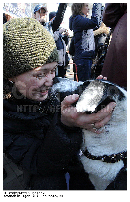 ������������, �������, ������, ������, ���������, ��������,������:, ���������, �������