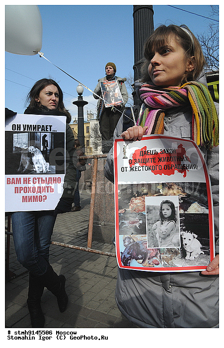 ������������, �������, ������, ������, ���������, ��������,������:, ���������, �������