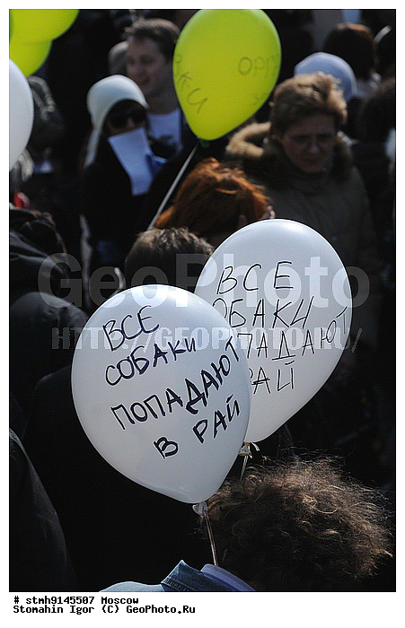 "������������, �������, ������, ������, ���������, ��������,������:, ���������, ����, ��������:, ""���, ������, ��������, ���"""