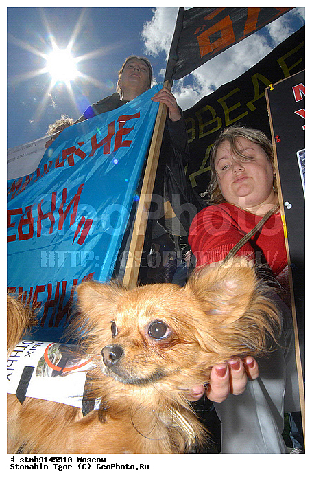 ������, ������, ��������, ���������, ��������, ��������, ������, �������, �����, , ���������, �������, ��������