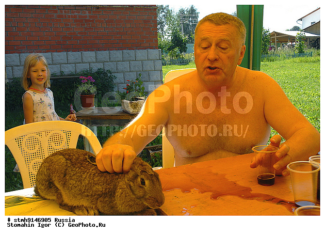 �����������,����, ����, ��������������, , �����������, ��������