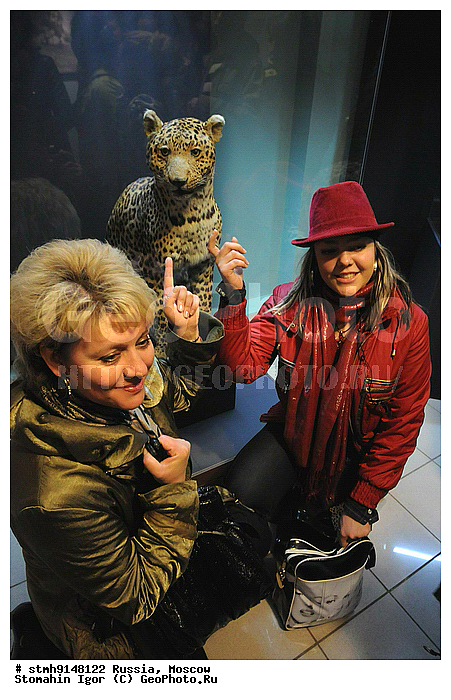 ����, ������������, �����,������:, ����������