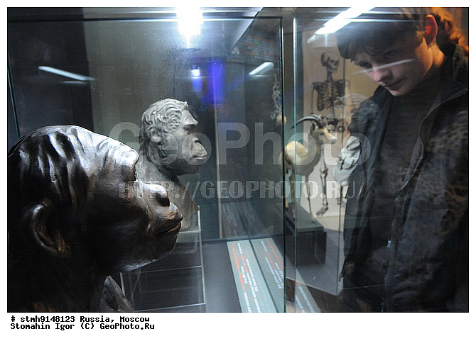 ����, ������������, �����,������:, ����������, �������������, ������, �����������