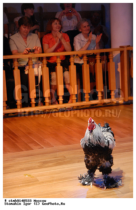 "�����, ""�����, ��������������, ���������"", ��������, �����, ""������""."