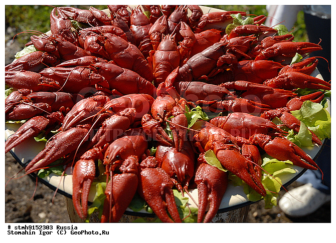 ��������, �����������, 445-�����, ������������, �������, �������, ����, ����������, �����, ������, ������, �������, ���, ����������, ��������, �����������, ���������, �����-��������